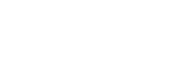 Novus Prime Inc